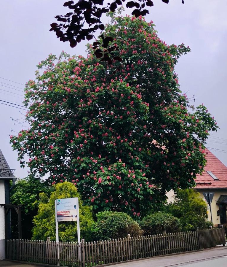 Apartamento Gemütliche Fewo Nähe Hachenburg, Bad Marienberg Langenbach bei Kirburg Exterior foto